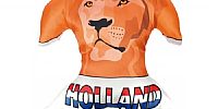 T-shirt kussen Holland